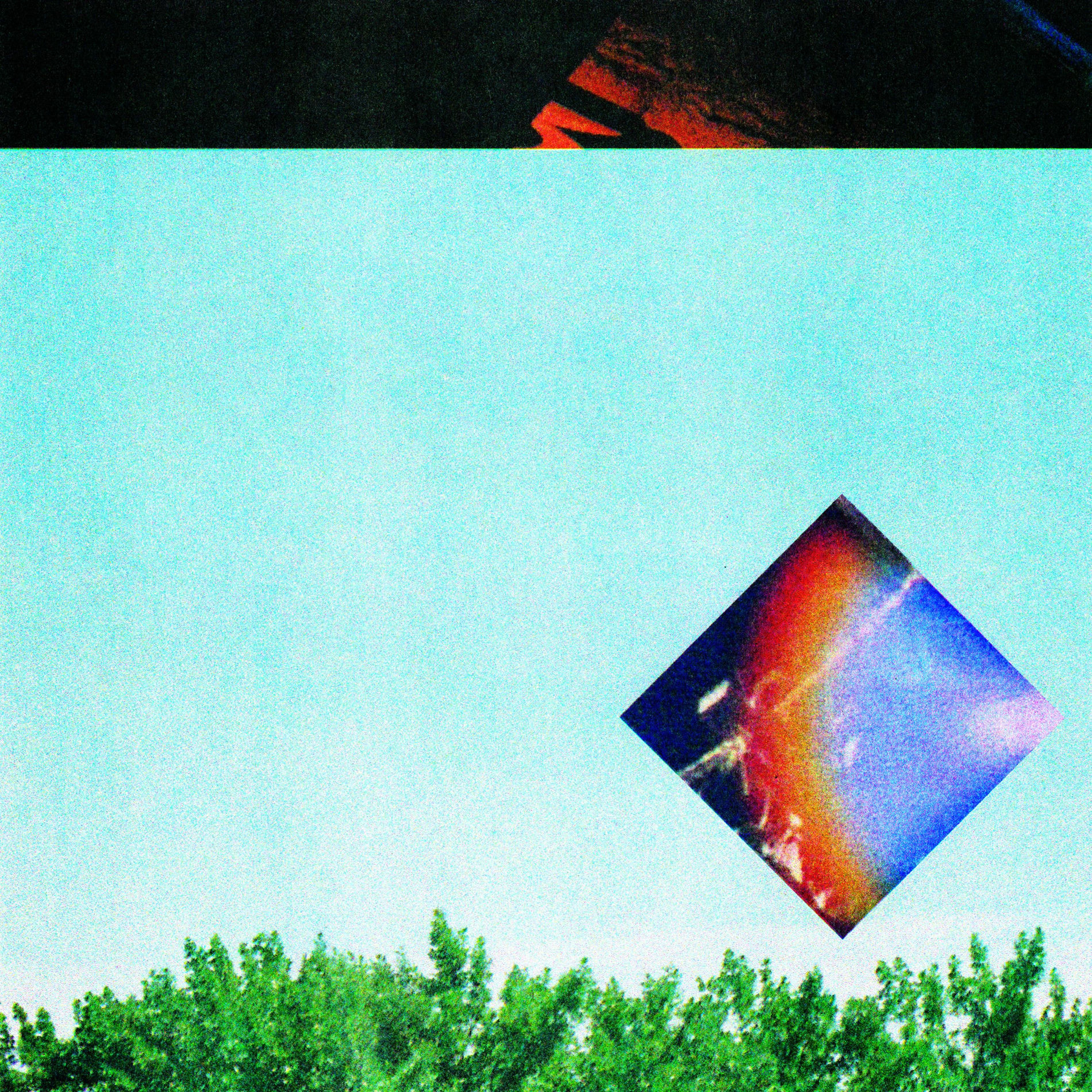 Album cover of wild