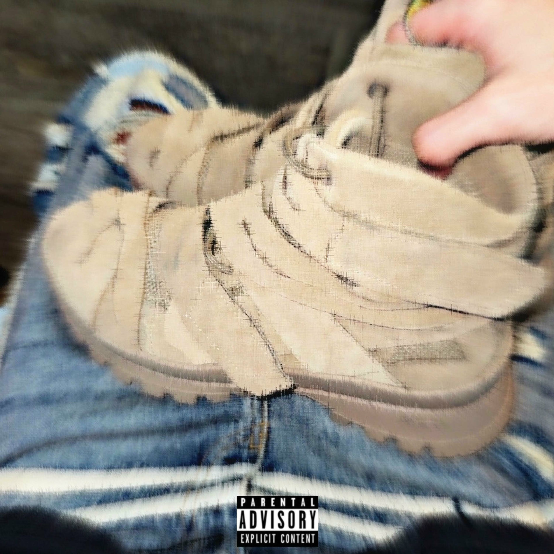 Album cover of shøes (feat. biz)