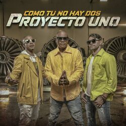 Cover of Como Tu No Hay Dos