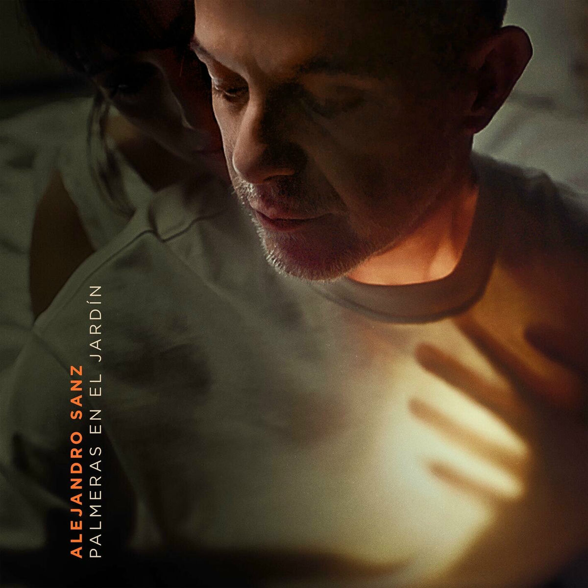 Album picture of Palmeras en el jardín