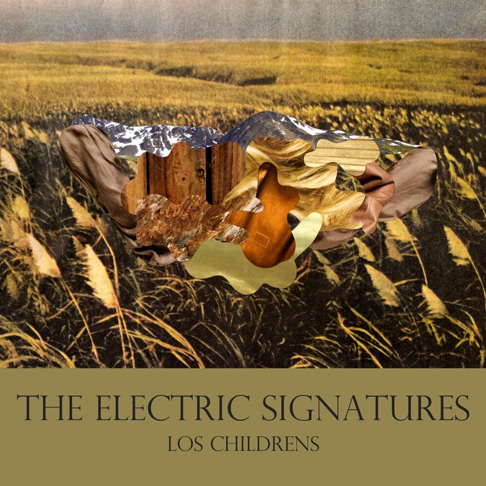 Picture of The Electric Signatures