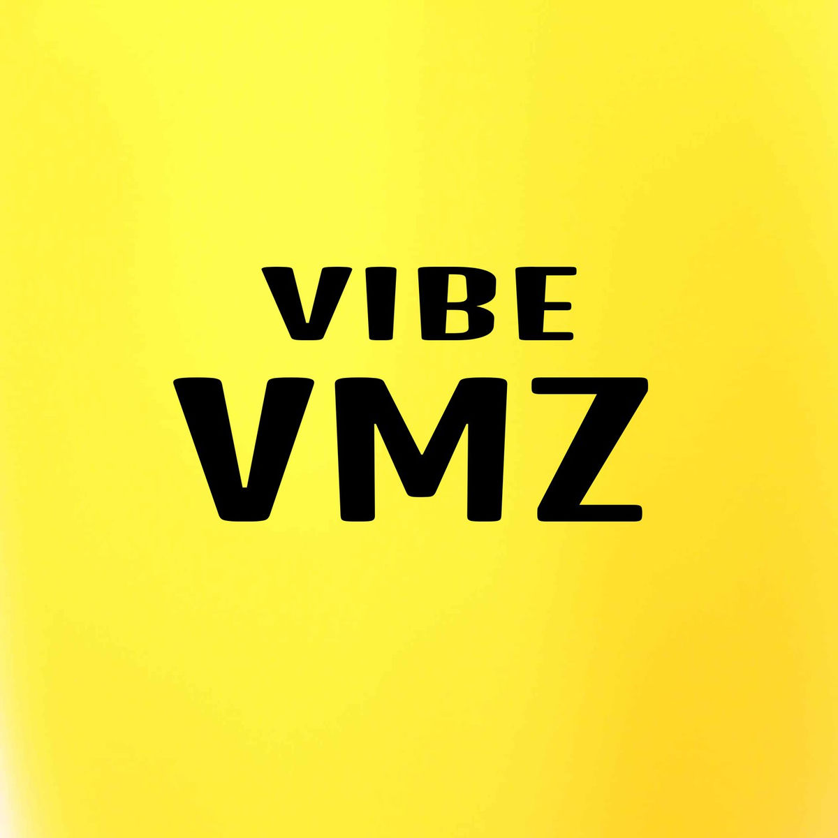 Album cover of vibe vmz