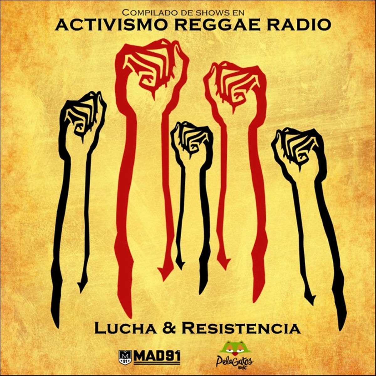 Album cover of Lucha & Resistencia: Compilado de Shows en Activismo Reggae Radio