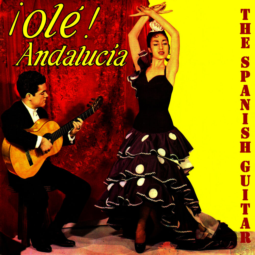 Picture of Flamenco School, Olé Andalucía!