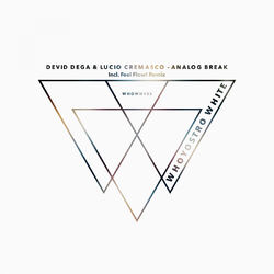 Cover of Analog Break