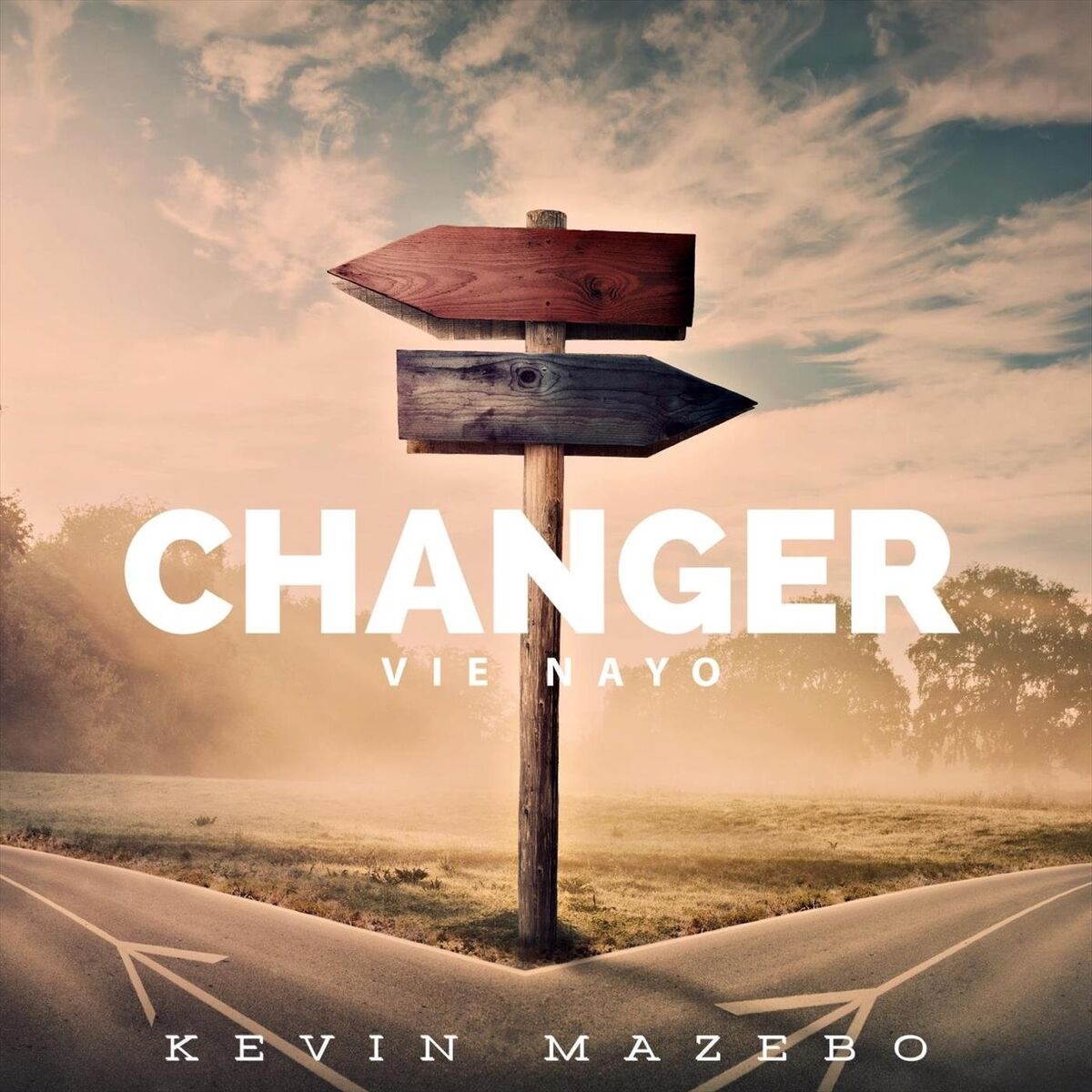 Album cover of Changer Vie Nayo
