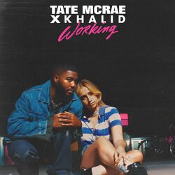 Cover of working