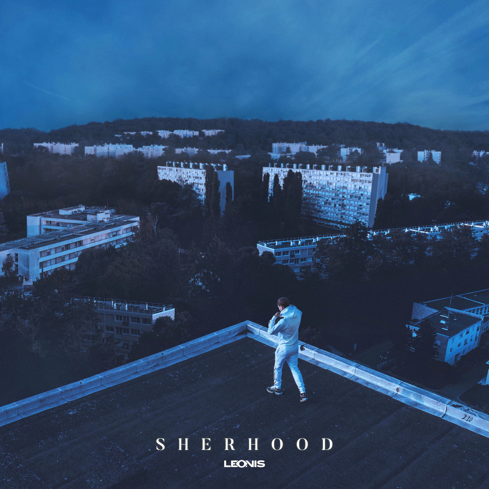 Album cover of Sherhood