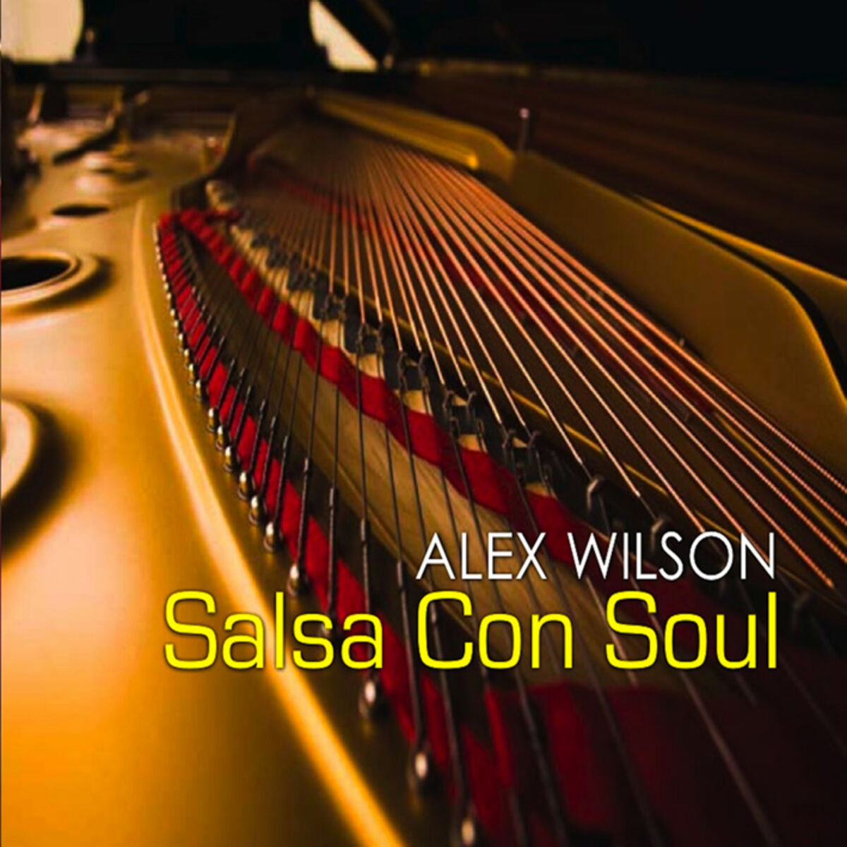 Album cover of Salsa Con Soul
