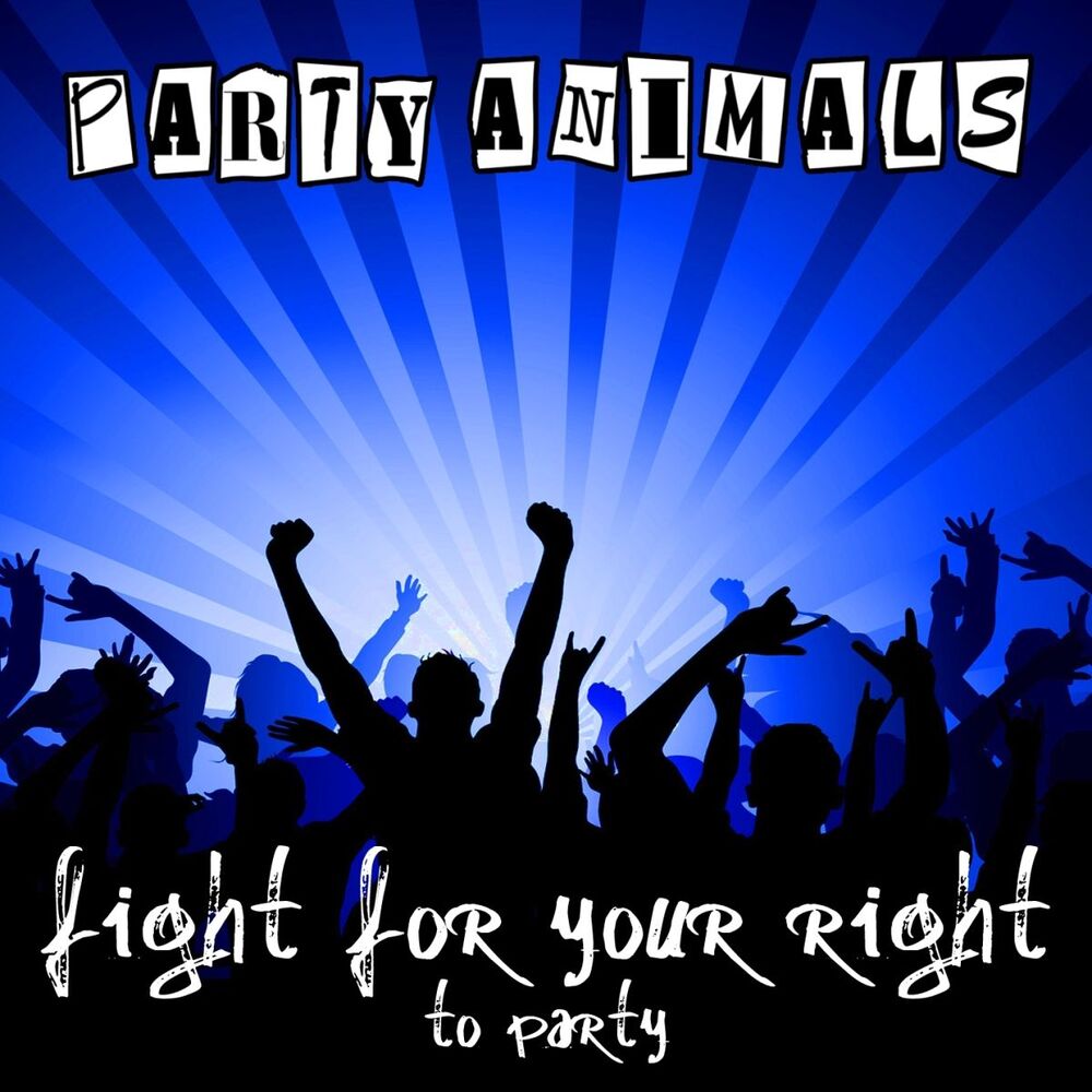 Picture of Fight for Your Right (To Party)