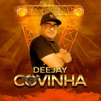 DJ COVINHA - MEGA FUNK TROPA DO PASSINHO, DJ PALOMA MENEGOTTO album artwork