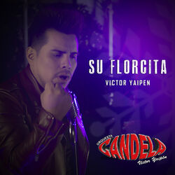 Cover of Su Florcita