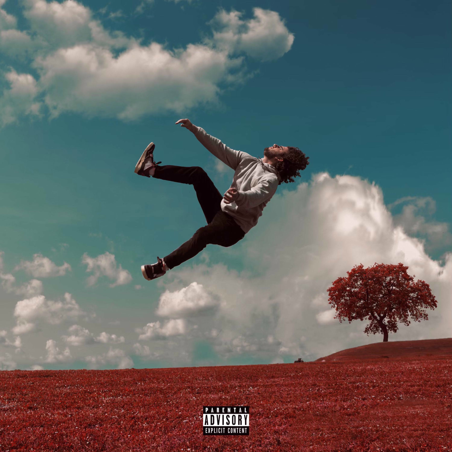 Album cover of Mixed Feelings