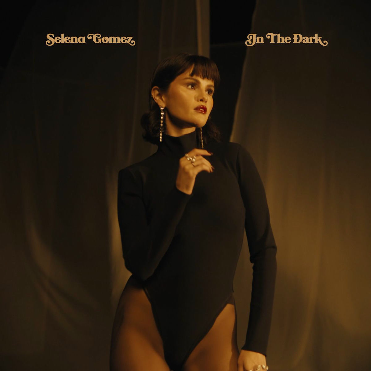 Album cover of In The Dark