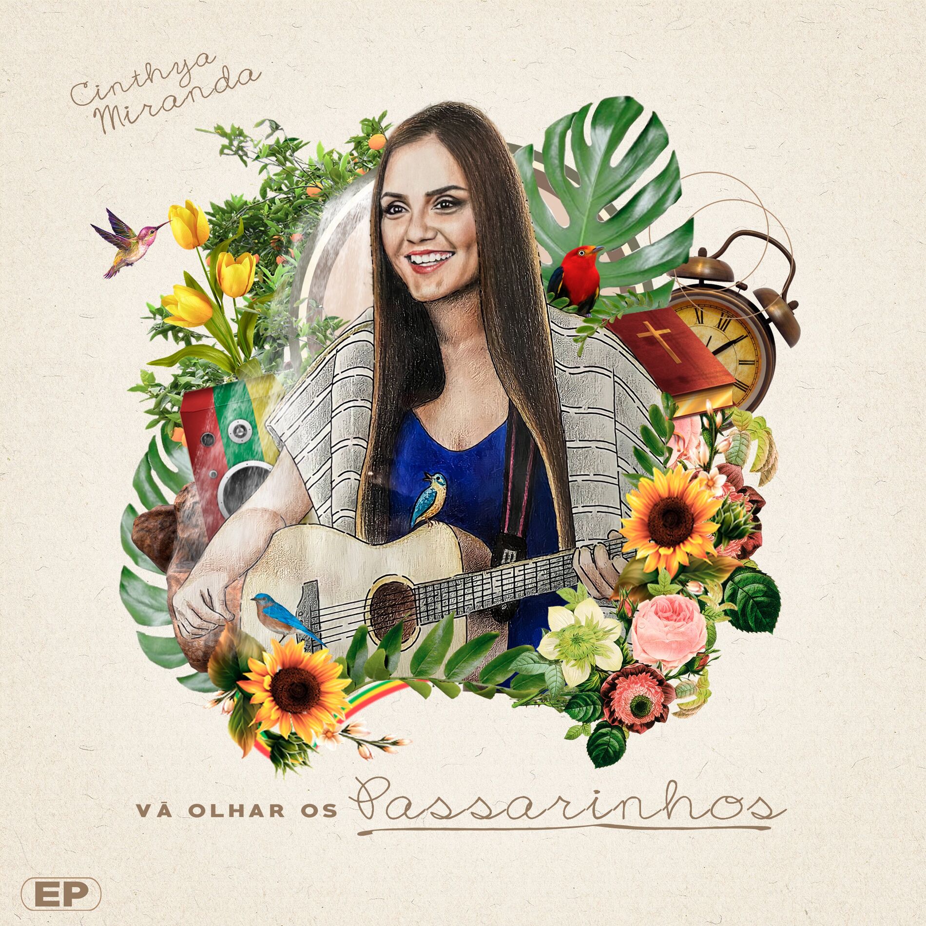 Album cover of Vá Olhar os Passarinhos