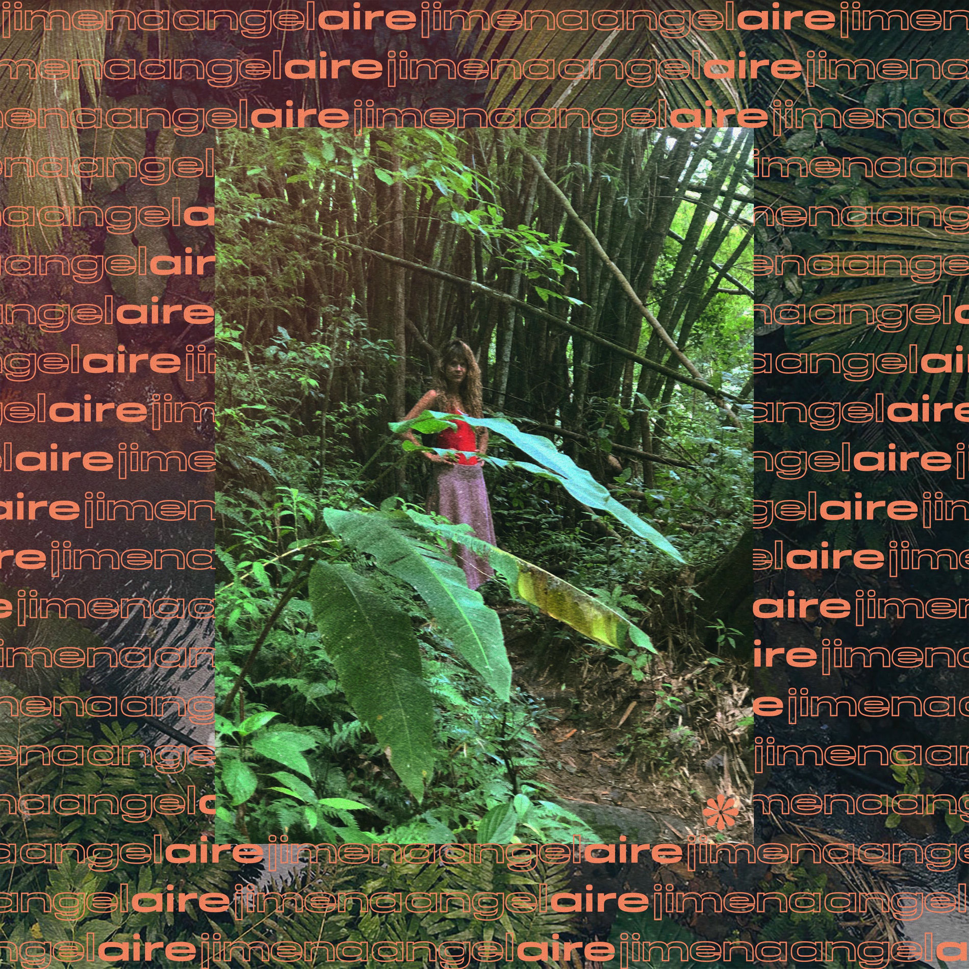 Album cover of Aire