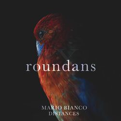 Cover of Distances