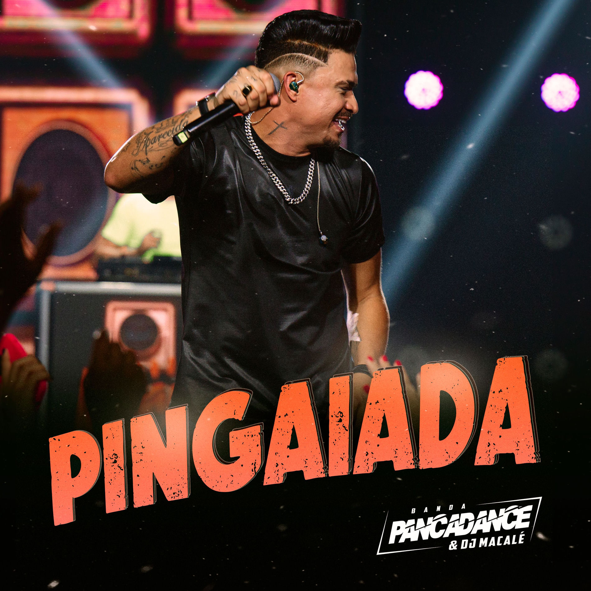 Album cover of Pingaiada