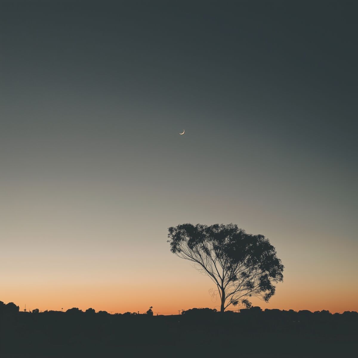 Album cover of only for a moment