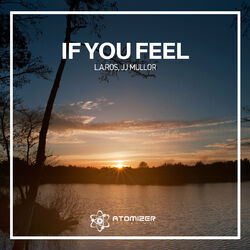 Cover of If You Feel