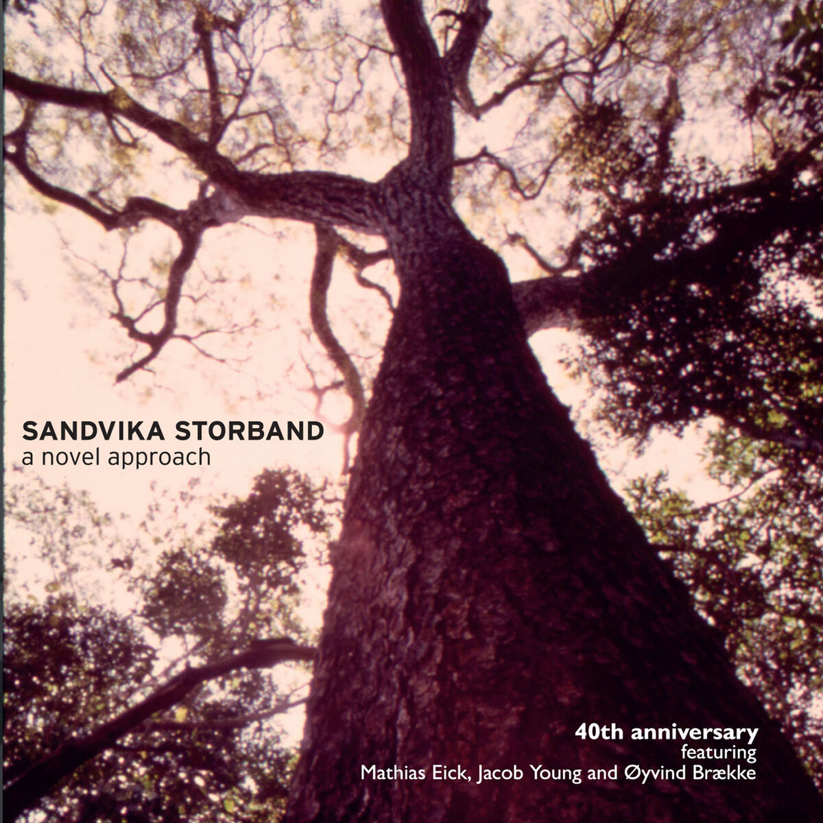 Album cover of A Novel Approach