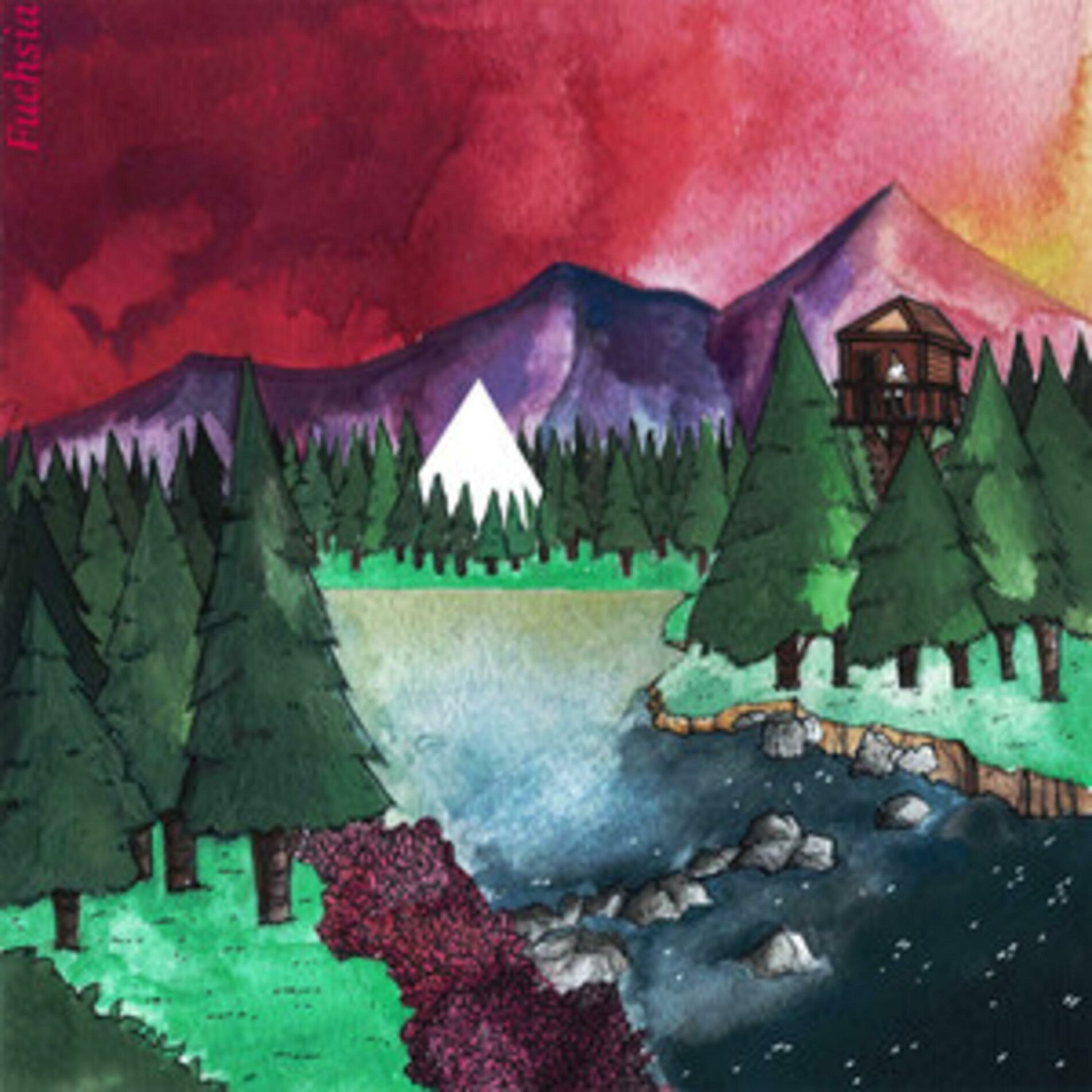 Album cover of Fuchsia
