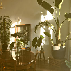 Cover of hep by undefined