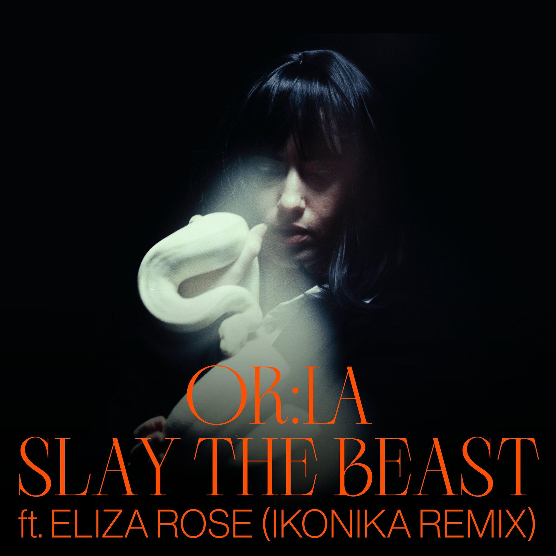 Album cover of Slay The Beast (Ikonika Remix)