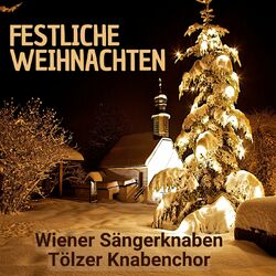 Festliche Weihnachten: Wiener Sängerknaben & Tölzer Knabenchor