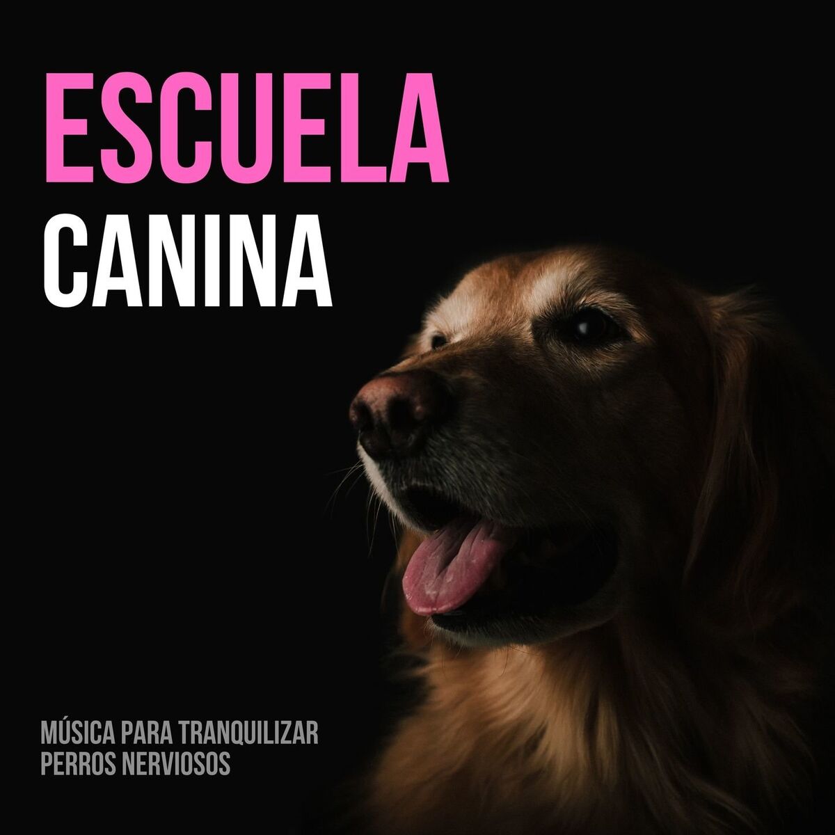 Album cover of Escuela Canina