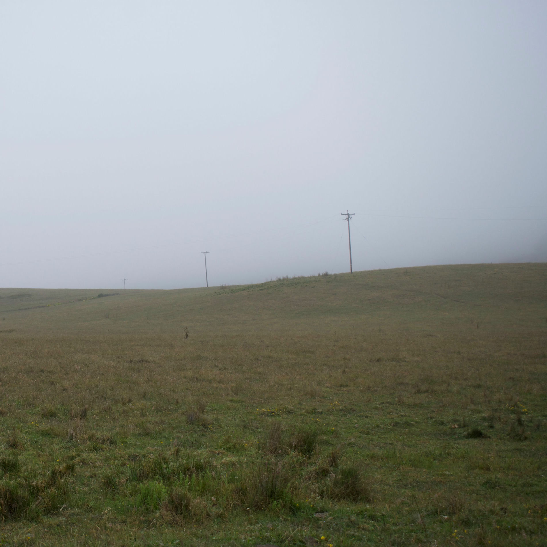 Album cover of Crescent