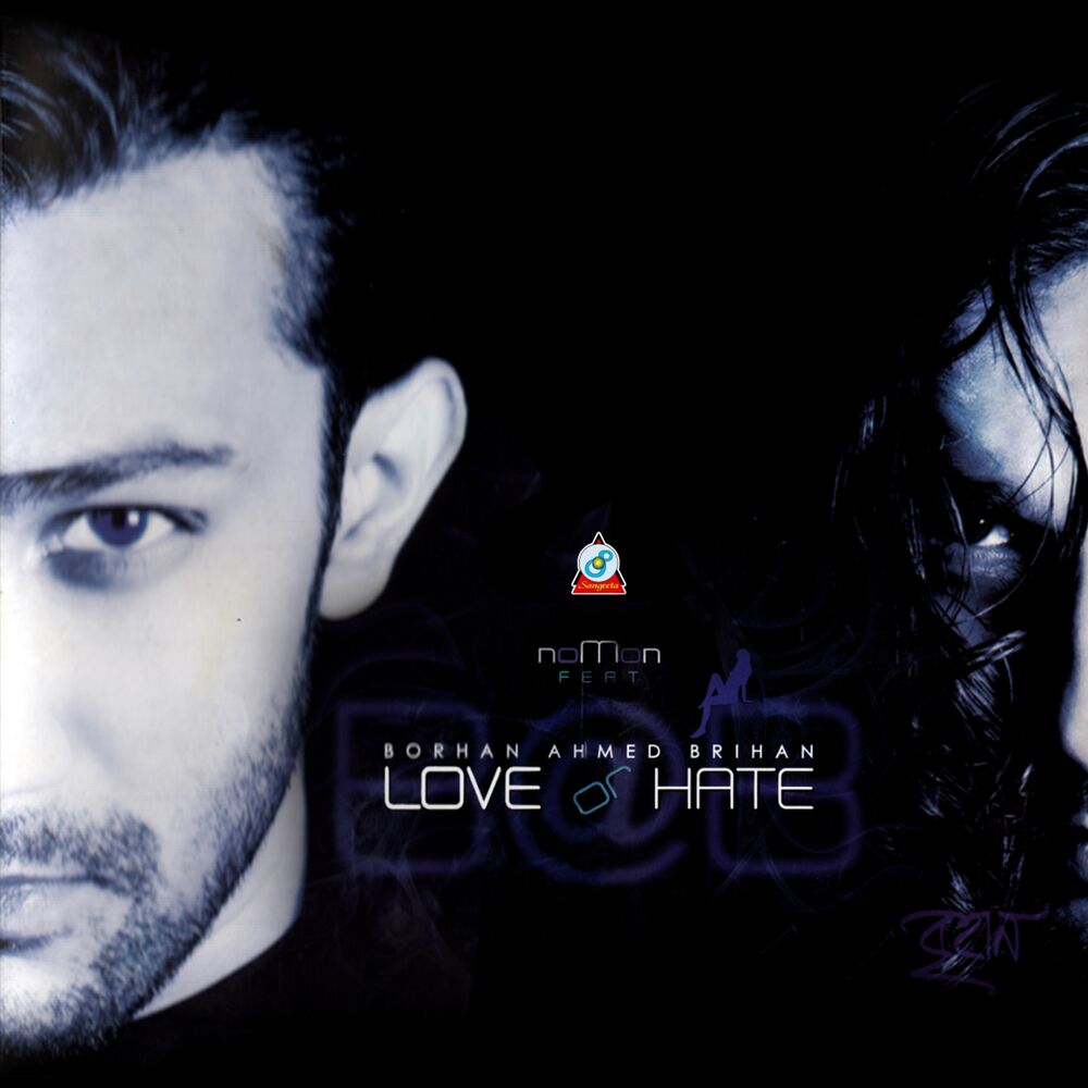 Picture of Love or Hate