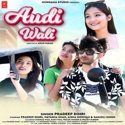 Cover of Audi Wali