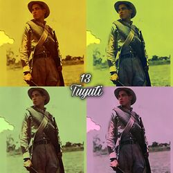 Cover of 13 Tuyuti