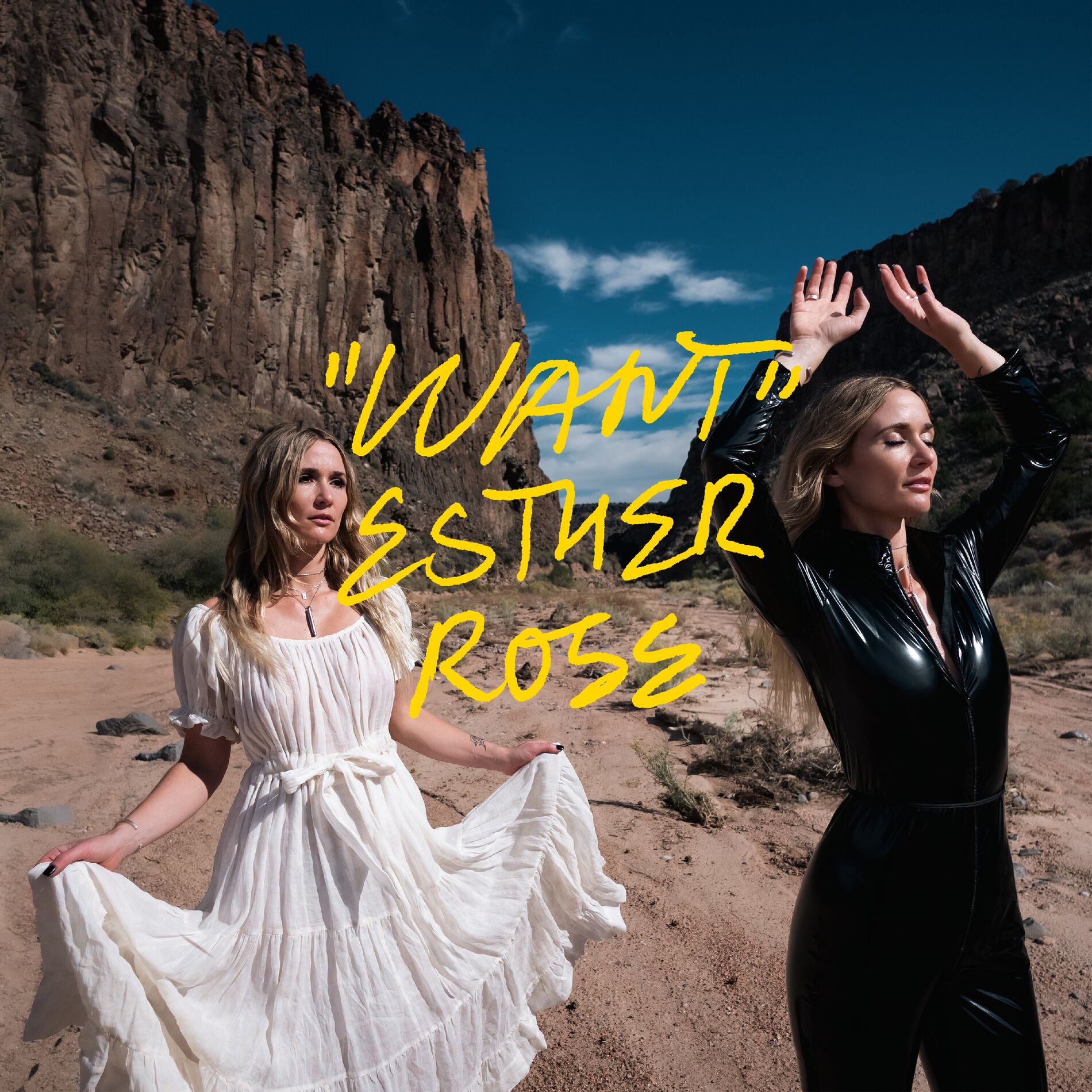 Album cover of Want