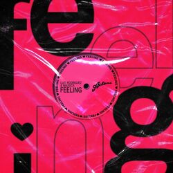 Cover of Feeling