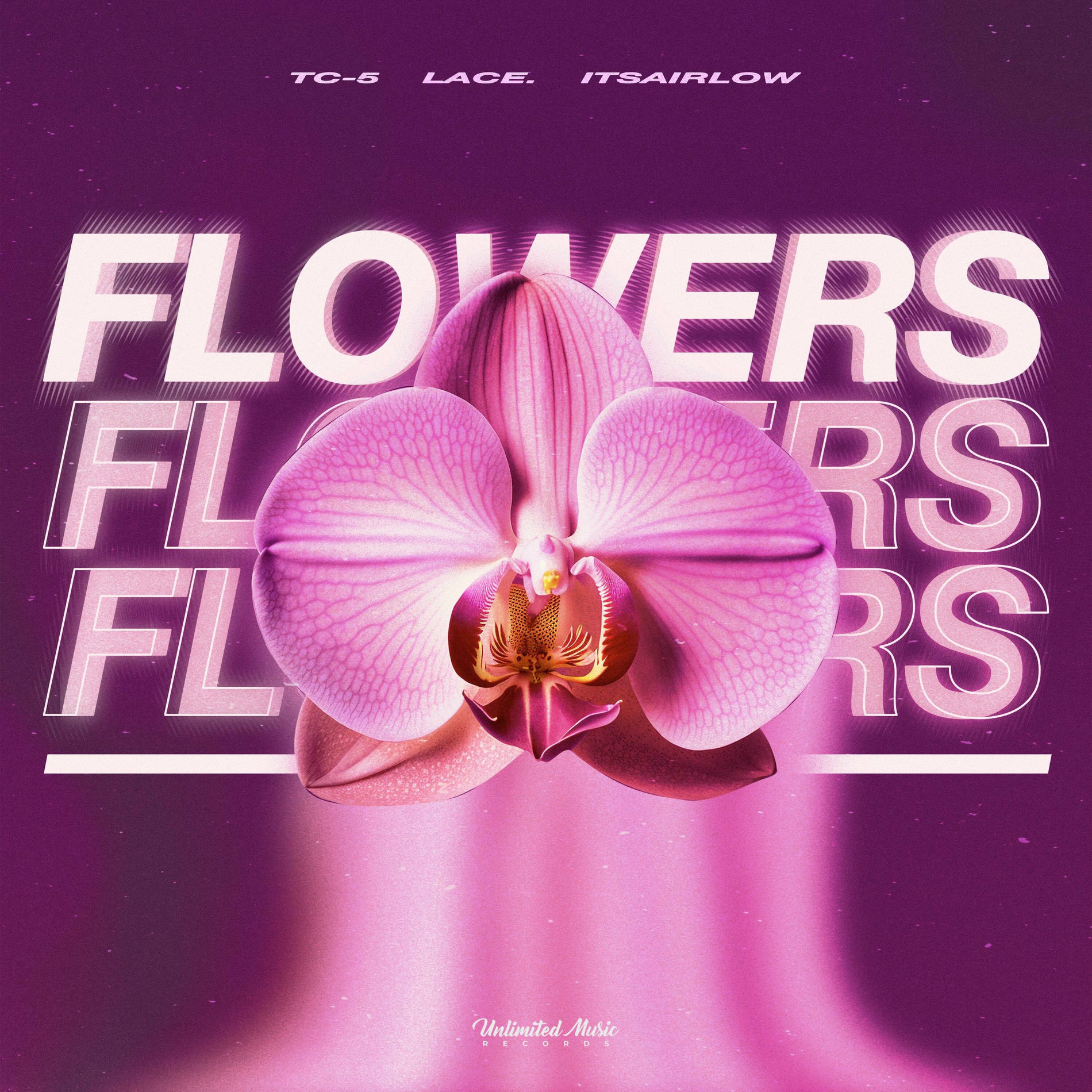 Album cover of Flowers (Techno)