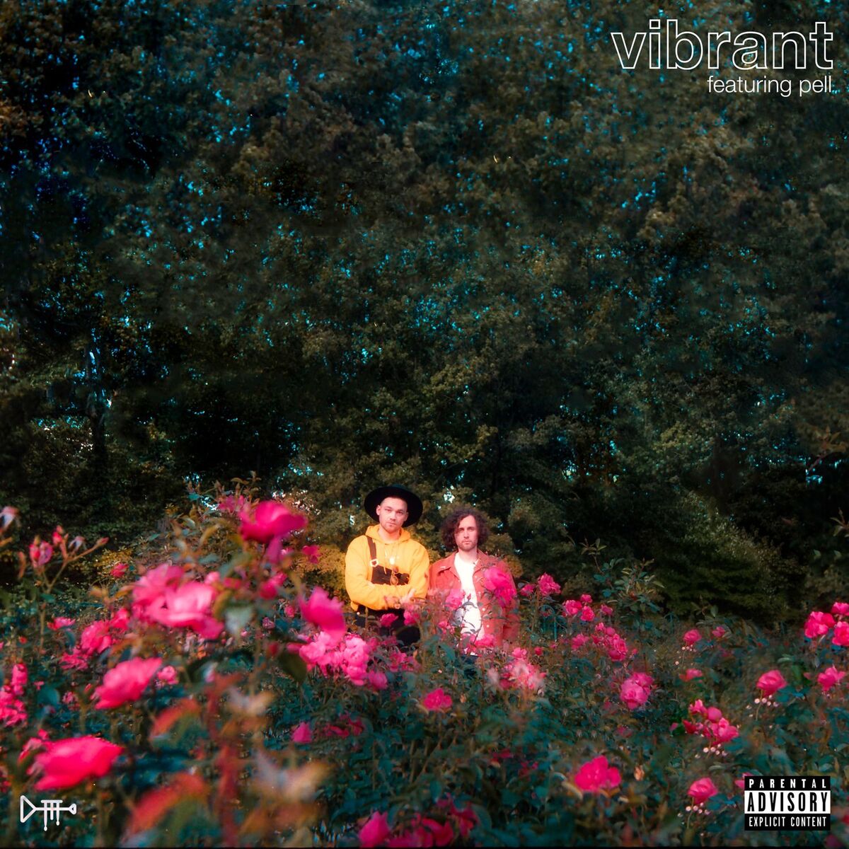 Album cover of Vibrant