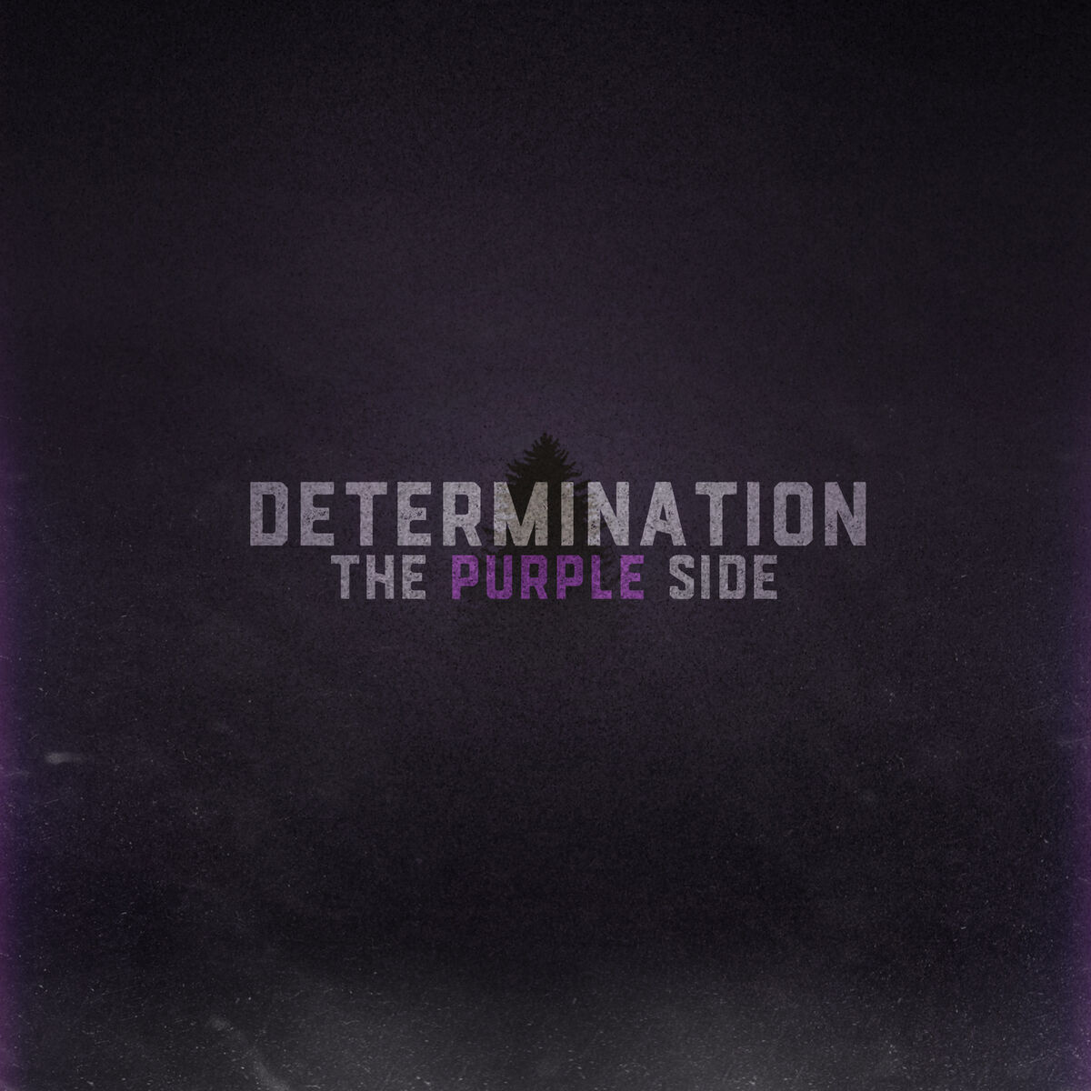 Album cover of Determination: The Purple Side