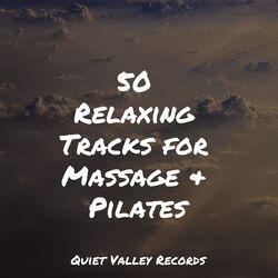 Cover of 50 Relaxing Tracks for Massage & Pilates
