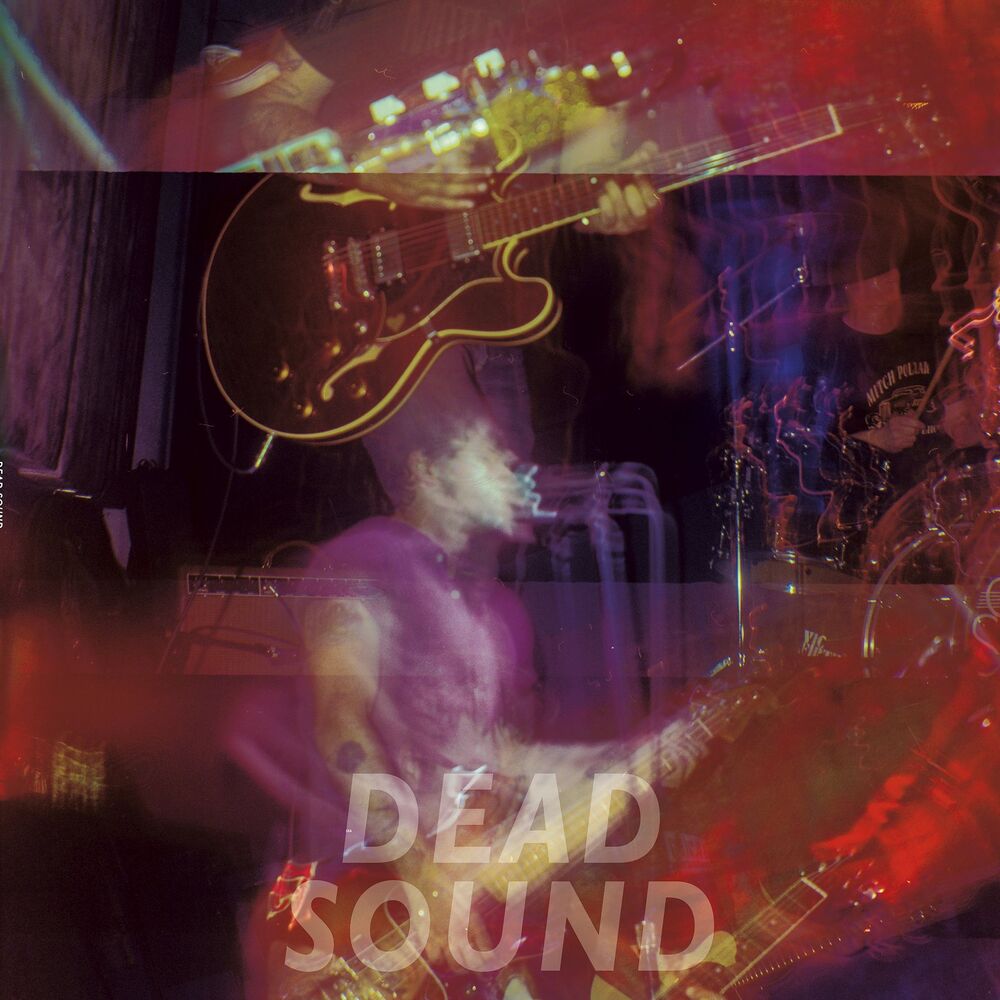Picture of Dead Sound