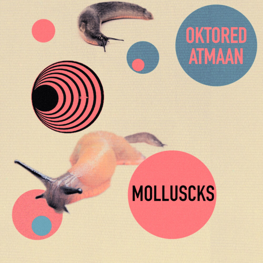 Picture of Molluscks
