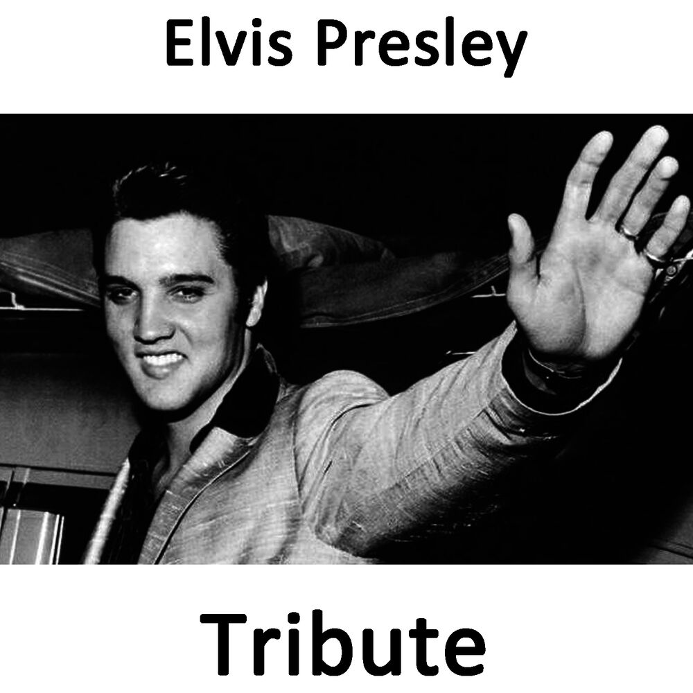 Picture of All Shook Up: Tribute To Elvis Presley Part 2