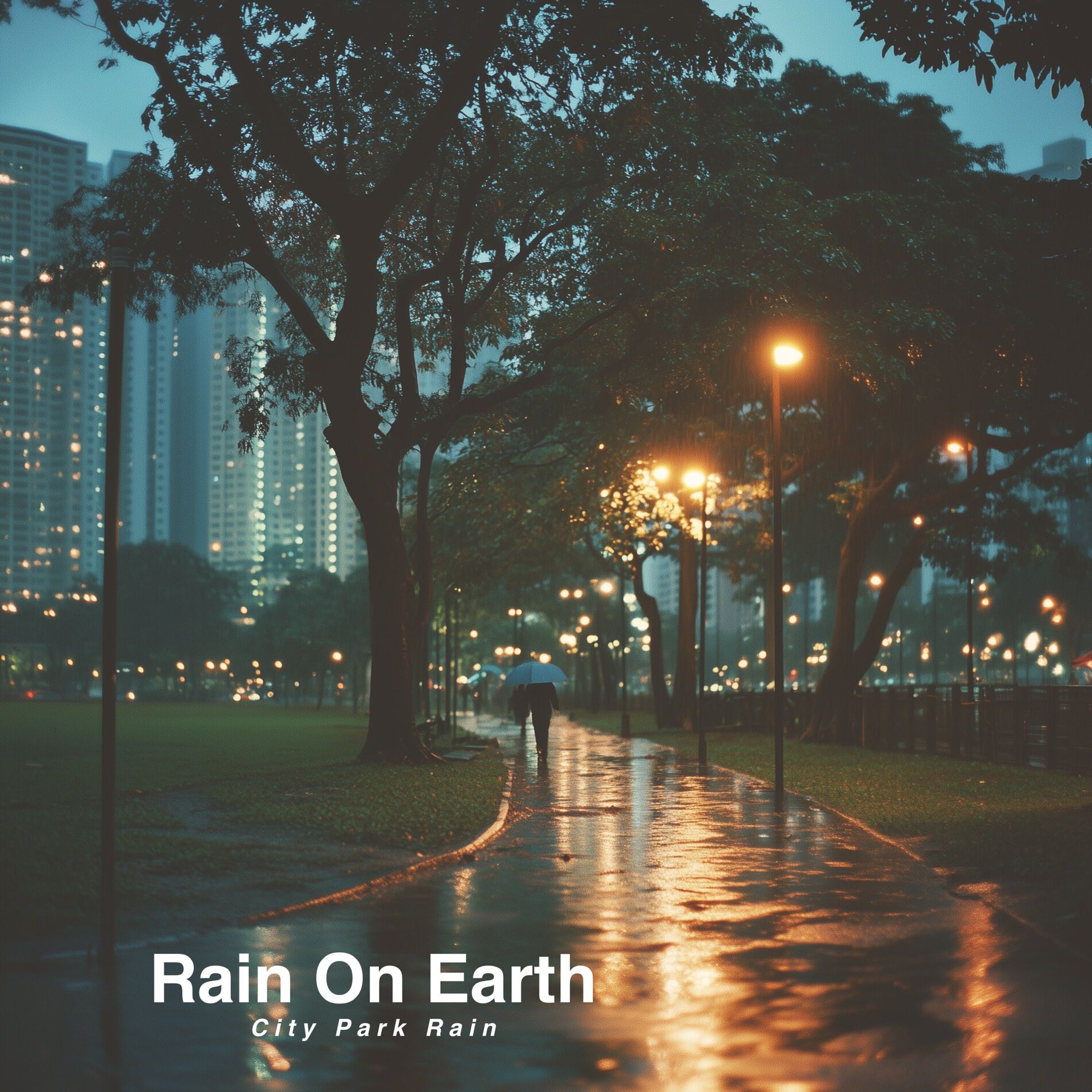 Album cover of City Park Rain