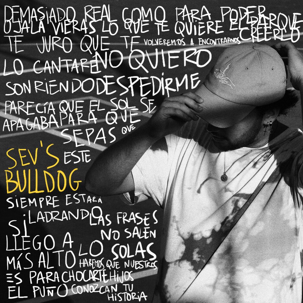 Picture of Bulldog