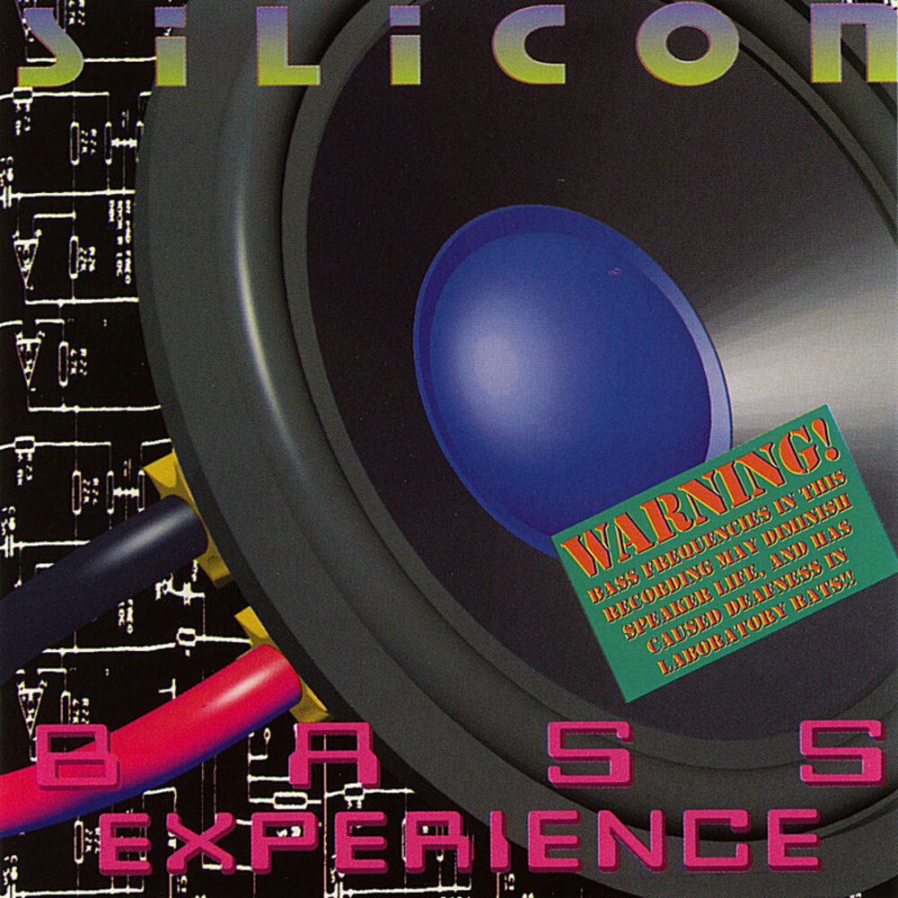 Picture of Bass Experience