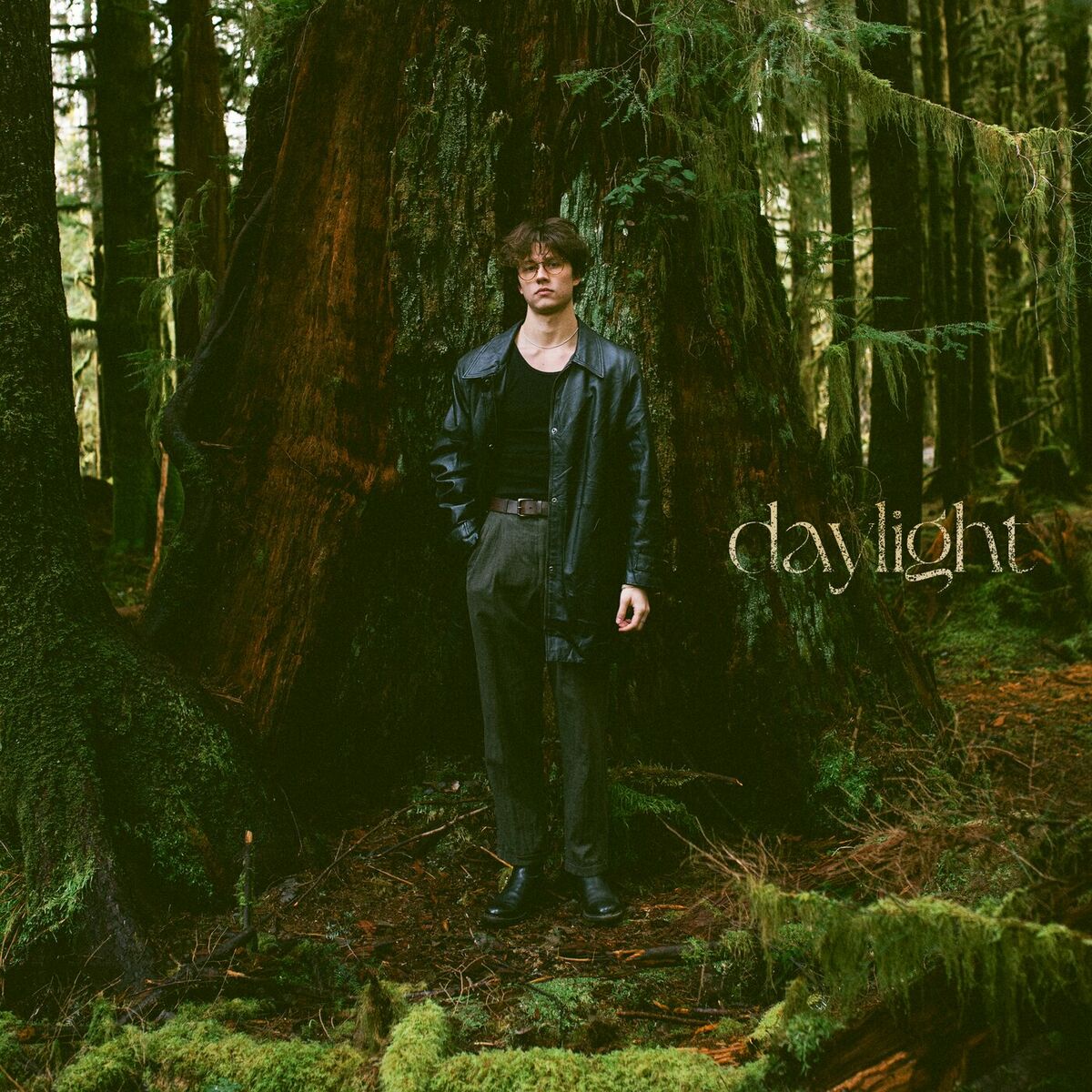 Album cover of Daylight