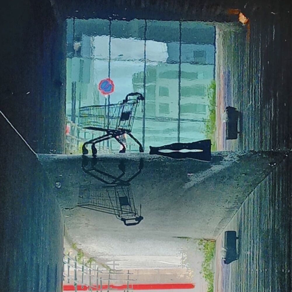 Picture of Let Her Travel