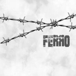 Cover of Ferro