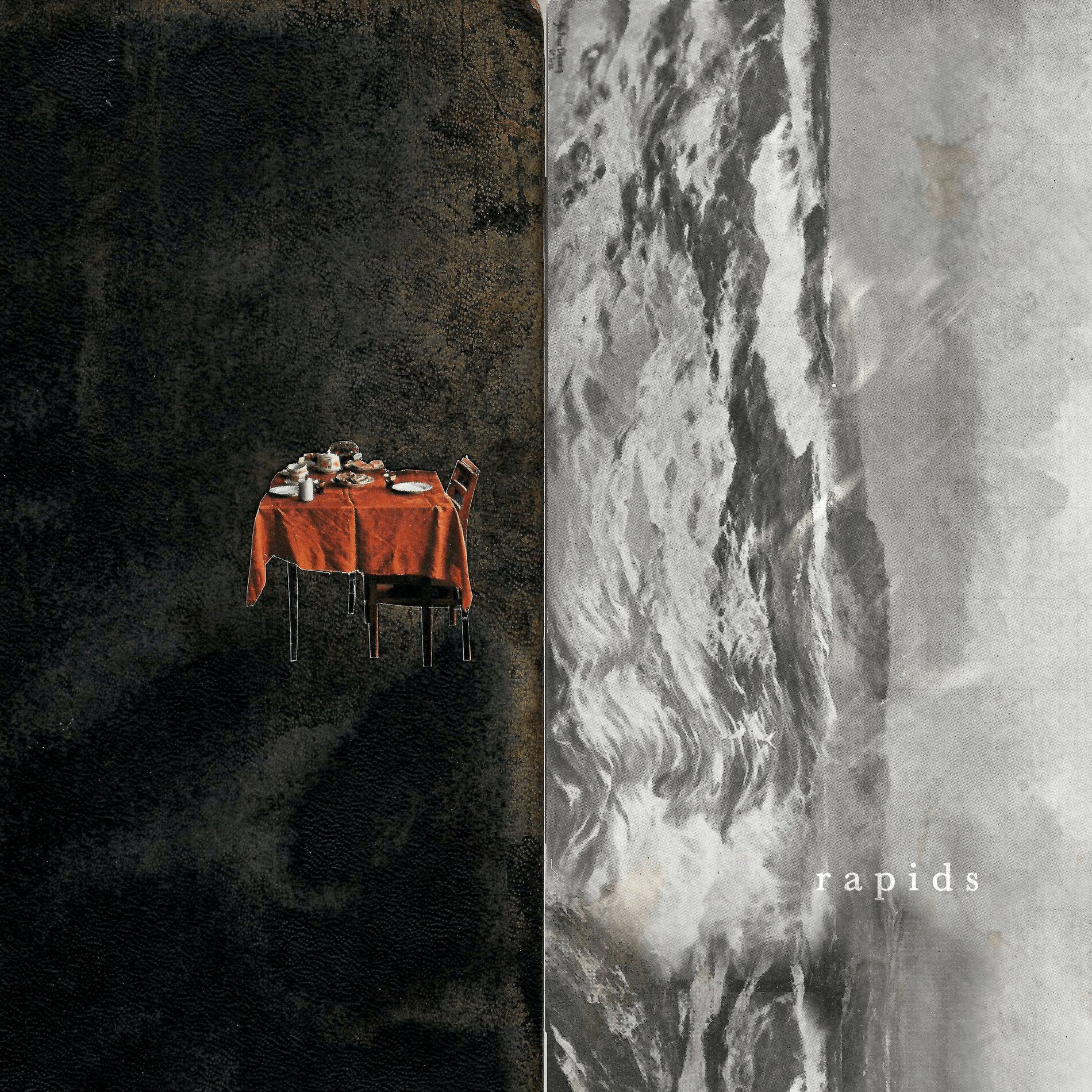 Album cover of Rapids